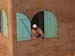 07man_window2331